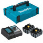 Pack 2 batterie 18V 6,0 AH